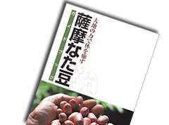名ばかり大学生